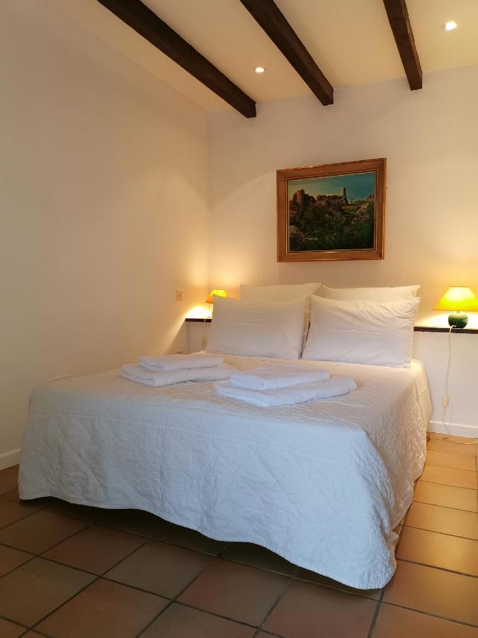 Le Cellier De Beaulieu, Au Pied De La Cite, Maison De Vacances Avec Climatisation Et Jacuzzi Carcassonne Exterior photo